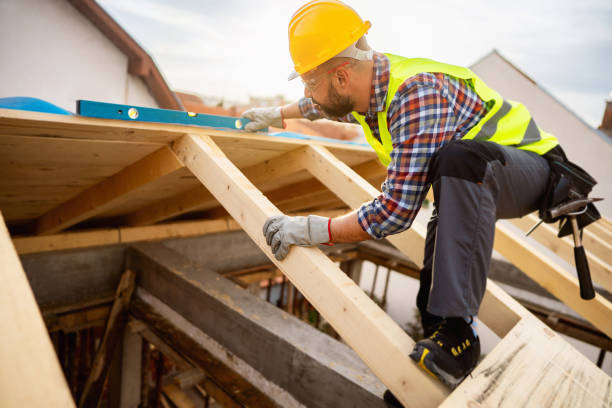 Best Roof Gutter Cleaning  in Pine Ridge, FL