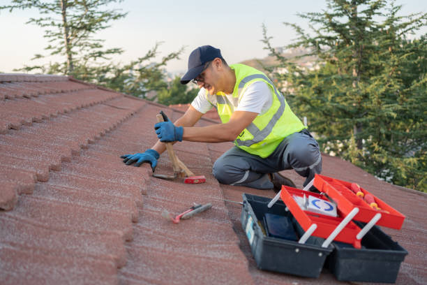 Gutter Installation and Roofing in Pine Ridge, FL
