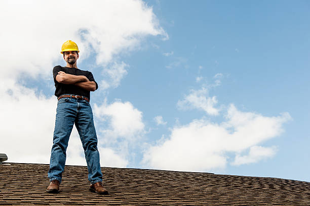 Best Roof Gutter Cleaning  in Pine Ridge, FL