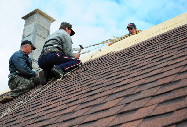Roof Gutter Cleaning in Pine Ridge, FL