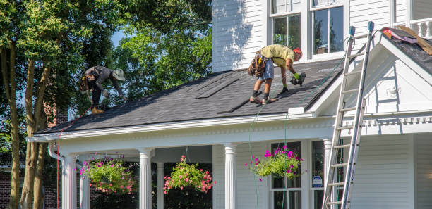 Professional Roofing Contractor in Pine Ridge, FL